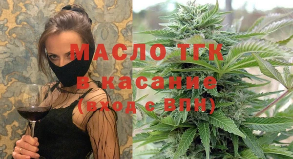 тгк Абаза