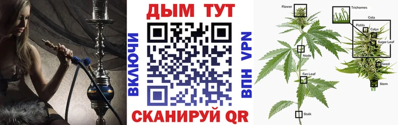 блэк спрут вход  Злынка  Канабис Amnesia  купить наркотики сайты 